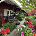 Exploring the World of Landscaping in Camden County, New Jersey