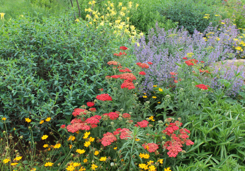 Creating a Pollinator-Friendly Landscape in Camden County, New Jersey