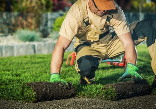 The Advantages of Hiring a Professional Landscaper in Camden County, New Jersey