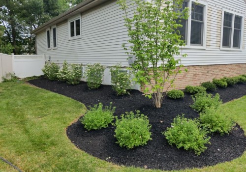 Exploring the Landscaping Services Available in Camden County, New Jersey